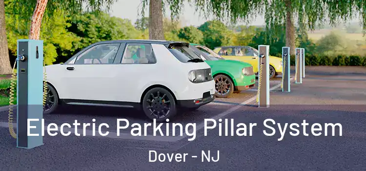  Electric Parking Pillar System Dover - NJ