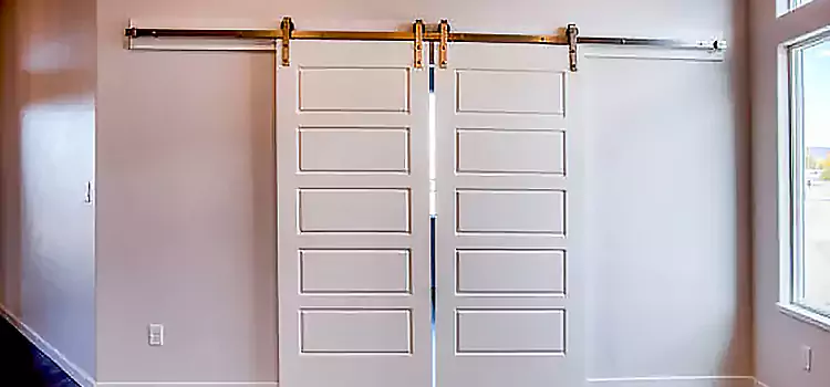 Glass Barn Door with Installation Hardware Kit Dover