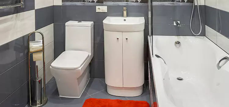 Hansgrohe Shaving Mirror Dover